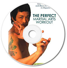 JB Berns Perfect Martial Arts Workout DVD 