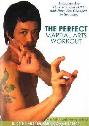 Perfect Martial Arts with Michael Nevermind 